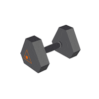 dktsingapore hex dumbbell cross training decathlonsg Sticker