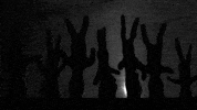 black and white bunnies GIF by Carl Knickerbocker