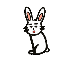 Year Of The Rabbit Sticker