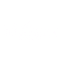 Pink Stars Sticker by ImportWorx