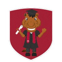 Bucky Gobroncos Sticker by SantaClaraUniversity