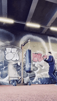 Muay Thai Ufc GIF by Casol