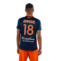 Ammour Sticker by MHSC