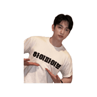 Parkjinyoung Sticker
