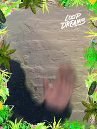 loopdreams by Loop Dreams GIF Booth