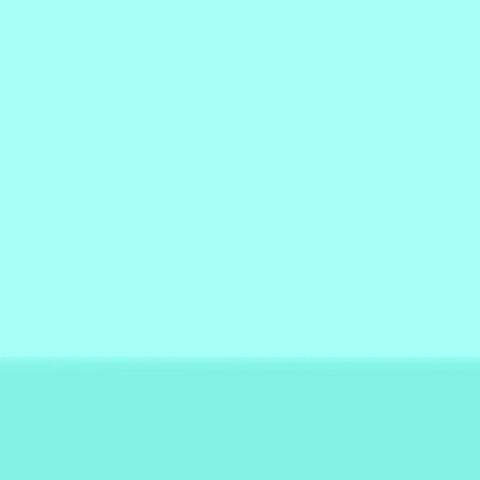 Ada Cardano GIF by snek