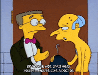 Season 2 GIF by The Simpsons