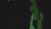 Basketball Bison GIF by NDSU Athletics
