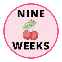 Pregnancy Baby Size Sticker by Bump Boxes