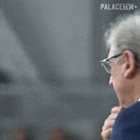 Premier League Search GIF by Crystal Palace Football Club