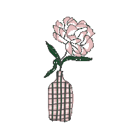 Lifestyle Rosa Sticker by Toque de Capricho