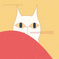 Look At Me What GIF by La Guarimba Film Festival