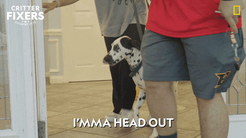 National Geographic Vet GIF by Nat Geo Wild