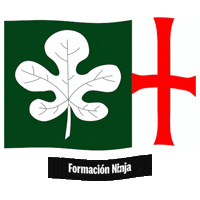 Flag Spain Sticker by Formación Ninja