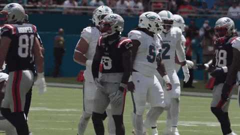 Stefon Diggs Football GIF by New England Patriots