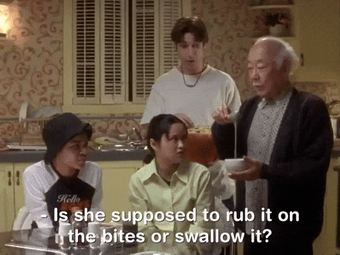 the mystery files of shelby woo nicksplat GIF