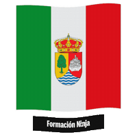 Castilla Y Leon Flag Sticker by Formación Ninja