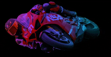 Ducati GIF by AR