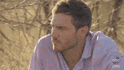Episode 11 Peter GIF by The Bachelor