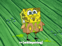 season 6 pet or pets GIF by SpongeBob SquarePants