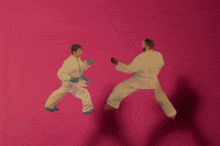 trash_cats_tv glas2022 GIF