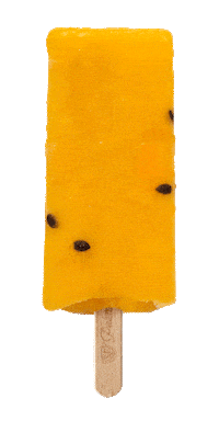 Summer Ice Sticker by Paleta Loca