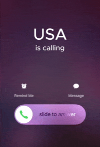 United States Usa GIF