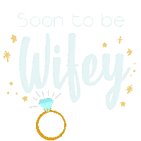 Wedding Love Sticker by Lauren Fox