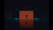 Dance Art GIF by SOULFIA