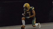 Bison Watson GIF by NDSU Athletics