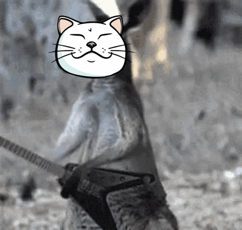 Cat Rock GIF by ShiroNeko