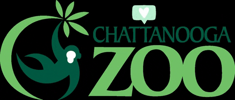 chattanoogazoo giphygifmaker giphyattribution zoo chattanooga GIF