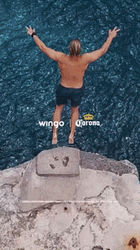 GIF by Wingo