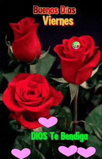 Buenos Dias Felicidad GIF by Murcianys LLC