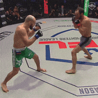 pflmma mma espn knee pfl GIF