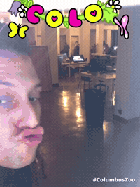 framebeta GIF by GIPHY Frame