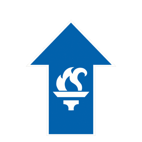 Arrow Arriba Sticker by FUEIB