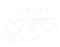 Sspca Sticker by Sacramento SPCA