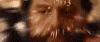 Calculating Zach Galifianakis GIF by filmeditor 