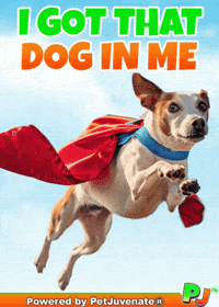 Superstar Hero Motivational Quotes Pj Petjuvenate GIF by PetJuvenate - PJ