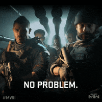 No Problem Fps GIF by Call of Duty