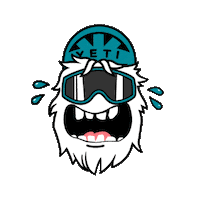 360 Mtb Sticker by Yeti Cycles