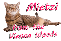 Cat Sticker by ViennaTouristboard