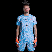Fifa World Cup Switzerland GIF by Respective