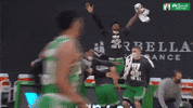 GIF by NBC Sports Boston
