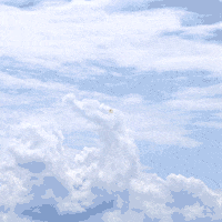 Grow Blue Sky GIF