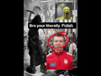 Poland Polish GIF