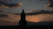 College Bears GIF by Baylor University