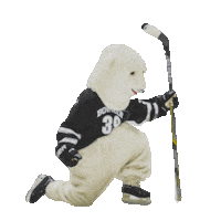 Ice Hockey Sticker by Bowdoin College