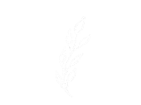 Leaf Leaves Sticker by The Jomu Co
